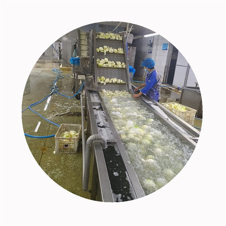 IQF Frozen Onion Slices Supplier
