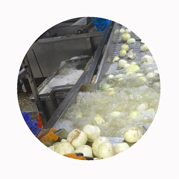 Frozen White Onion Slices